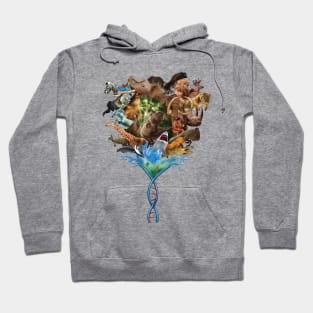 The Spiral of Life Hoodie